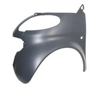 Parafango anteriore Sx con foro per indicatore direzione 6504-04-3502311P BLIC