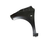 Parafango anteriore Sx con foro per indicatore direzione 6504-04-8102311P BLIC