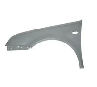 Parafango anteriore Sx con foro per indicatore direzione 6504-04-9543311P BLIC