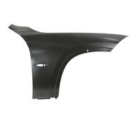 Parafango BLIC 6504-04-0092314P, destro