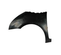 Parafango BLIC 6504-04-0538311Q, sinistro