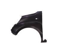 Parafango BLIC 6504-04-0553313P, sinistro