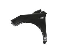 Parafango BLIC 6504-04-2579311Q, sinistro