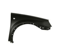 Parafango BLIC 6504-04-5023312P, destro