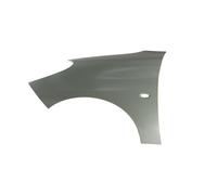 Parafango BLIC 6504-04-5507313P, sinistro