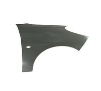 Parafango BLIC 6504-04-5507314P, destro