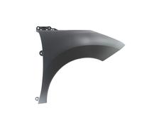 Parafango BLIC 6504-04-5545312P, destro