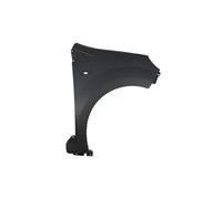 Parafango BLIC 6504-04-6006312P, destro