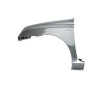 Parafango BLIC 6504-04-6032313P, sinistro