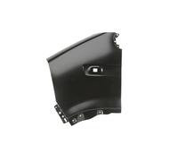 Parafango BLIC 6504-04-6088311P, sinistro