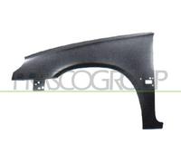 Parafango Prasco CI0233004 per Citroën