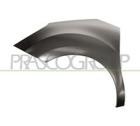 Parafango Prasco CI3243004 per Citroën