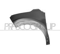 Parafango Prasco CI3283014 per Citroën