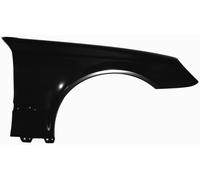 Parafango destro ClasseE W211 02-09 acciaio