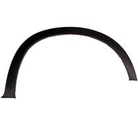 Parafango Listello Anteriore Destro Adatto Per: BMW X5 E70 02.07-06.13