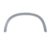 BLIC 5703-04-0092596MP Modanatura decorativa / protettiva, Parafango