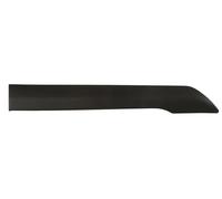 Parafango Modanatura / Porta Destra per: Ford Transit/Tourneo Connect II 09.13-1