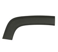 Parafango Modanatura Posteriore Destra Adatta: Jeep Renegade 07.14-06.18