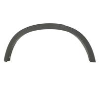 Parafango Modanatura Posteriore Destra per: BMW X3 F25, X4 F26