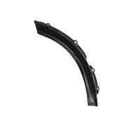 Parafango Modanatura Posteriore Sinistra per: Toyota RAV4 II 06.00-11.05
