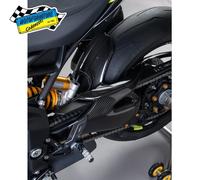 Parafango Post Carbo LIGHTECH CART1220 Triumph Speed Triple 1200 RR/RS/RX 21-25