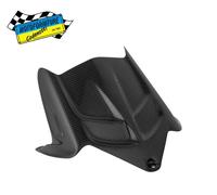 Parafango Post Carbonio LIGHTECH CARK9520 Kawasaki ZX636/ZX6R 2009 A 2025