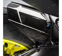 Parafango Post. In Carbonio CARY8920 Lightech