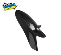 Parafango Posteriore Carbonio LIGHTECH CARD0420 Ducati Hypermotard 950 2019-2024