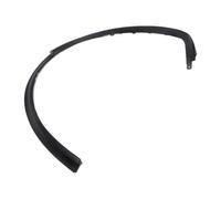 Parafango Posteriore Sinistro Per Tesla Per Model X 2016 2017 2018 2019 2020 2021, Profilo Passaruota Sinistro, Codice 10325290-00-E