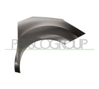 Parafango Prasco CI3243003 per Citroën