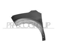 Parafango Prasco CI3283014 per Citroën