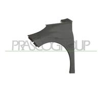 PRASCO PG3203014 Parafango