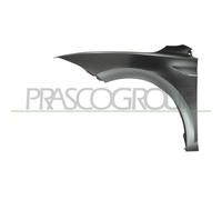 PRASCO VG0253004 Parafango
