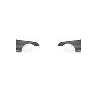 Parafango Set Anteriore Sinistra Destra per Mercedes W220 S nno Fab.