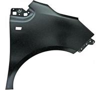 DIEDERICHS 1876007 Parafango