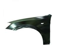 Parafango sinistro X3 F25 10-17 X4
