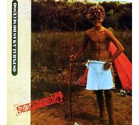 Paralamas Do Sucesso - Selvagem