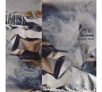 Parallel Wind
