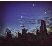 Parallel Worlds & Dave Bessell - Morphogenic