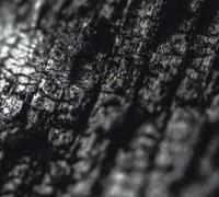 Parallel Worlds - Plector