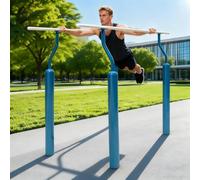 Parallele per la Riabilitazione e la Fisioterapia, parallele in Acciaio ad Alta Resistenza, Attrezzature per Il Fitness da Esterno, parallele per Flessioni, Attrezzi per Calisthenics(A)