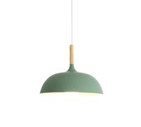 Paralume di Paralume Creativo Industriale Americano Decorazione Semplice Lampadari Lampada da soffitto Regolabile Apparecchi di Illuminazione per Camera da Letto, Sala da Pranzo (Verde, 45 cm)