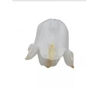 Paralume di ricambio in vetro diffusore ambra per abatjour applique lampada E14