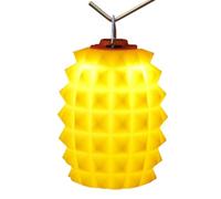 Paralume per lampada da tavolo | coperture in silicone per lanterne da campeggio, paralume decorativo a forma di ananas per escursionismo, avventure, viaggi, e attività all'aperto - uomini e
