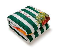 PARAMAISON Trapunta Matrimoniale Natalizia Christmas Stripe, Piumone Invernale, Stampa Digitale, 100% Microfibra Anallergica, 300 Gr/Mq, Made in Italy, Verde