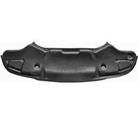 Paramotore protezione inferiore anteriore ClasseE W211 02-09 diesel