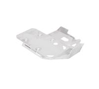 Paramotore SW-Motech - Argento BMW R 1300 GS / Adv, R 1300 R. / RT., argento