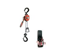 PARANCO MANUALE A CATENA 250 KG ARGANO MONTACARICHI VERRICELLO SOLLEVATORE VALEX