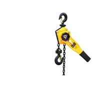 Paranco di leva 0,75 tonnellate 3 metri Catena manuale Leva Placca a mano invertito Per sollevamento e traino(0.75T*6M)
