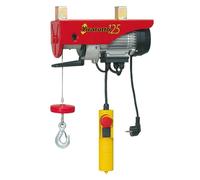 PARANCO ELETTRICO "L'EUROPEA" KG.125 TIRA TUTTO MONTACARICHI 450 WATT CARICO